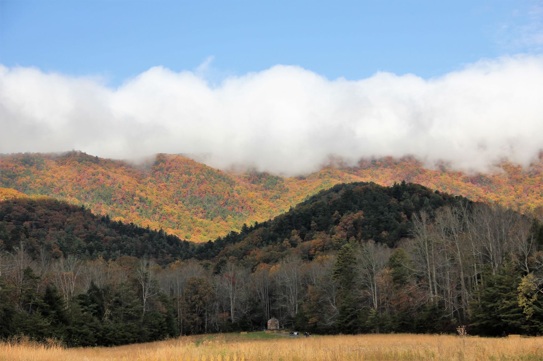 cades cove.JPG